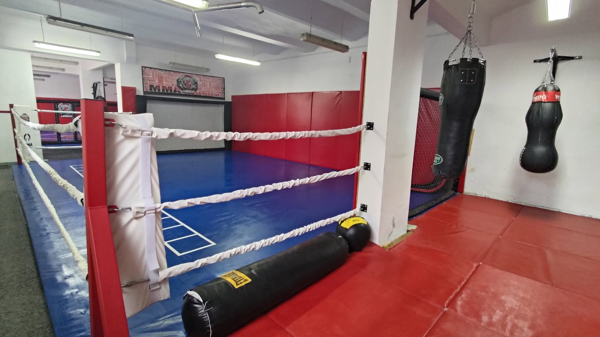 Ring bokserski — Lions Fight Lubsko